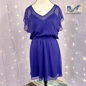 Express Cobalt Blue Chiffon Overlay Dress
